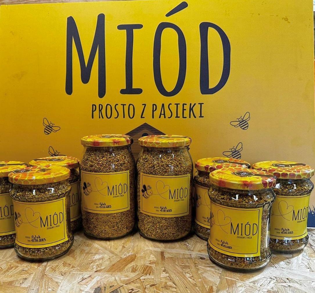 Swietajno  Kokolinko- Dom Caloroczny Na Mazurach 빌라 외부 사진